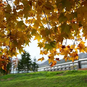 富良野酒店 中富良野町